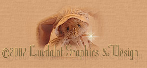 © 2007 Luvdalot Graphics & Design